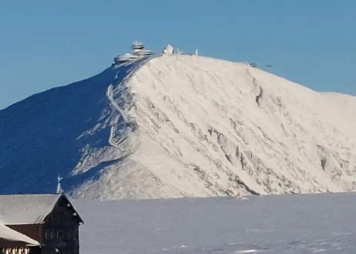 Studia Centrum 카르파츠